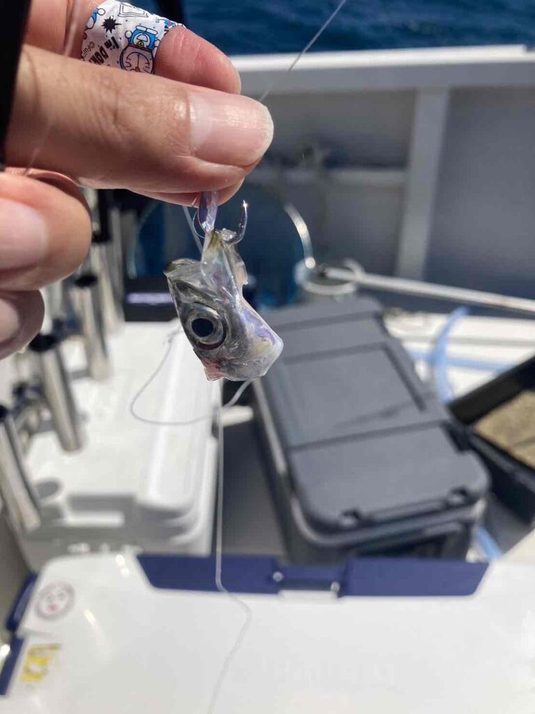 落とし込みでバレた時のベイト